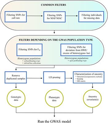 Recommendations for Choosing the Genotyping Method and Best Practices for Quality Control in Crop Genome-Wide Association Studies